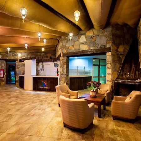 酒店 Risa 比特兹